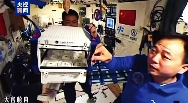 太空菜园樱桃番茄喜获丰收，中国航天员十年耕耘结硕果；气雾培养技术攻克微重力难题，绿色梦想照亮深空之路。 新闻 太空菜园樱桃番茄喜获丰收，中国航天员十年耕耘结硕果；气雾培养技术攻克微重力难题，绿色梦想照亮深空之路。 新闻 太空菜园樱桃番茄喜获丰收，中国航天员十年耕耘结硕果；气雾培养技术攻克微重力难题，绿色梦想照亮深空之路。 新闻 太空菜园樱桃番茄喜获丰收，中国航天员十年耕耘结硕果；气雾培养技术攻克微重力难题，绿色梦想照亮深空之路。 新闻 太空菜园樱桃番茄喜获丰收，中国航天员十年耕耘结硕果；气雾培养技术攻克微重力难题，绿色梦想照亮深空之路。 新闻 太空菜园樱桃番茄喜获丰收，中国航天员十年耕耘结硕果；气雾培养技术攻克微重力难题，绿色梦想照亮深空之路。 新闻