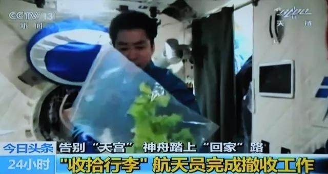  太空菜园樱桃番茄喜获丰收，中国航天员十年耕耘结硕果；气雾培养技术攻克微重力难题，绿色梦想照亮深空之路。 新闻 太空菜园樱桃番茄喜获丰收，中国航天员十年耕耘结硕果；气雾培养技术攻克微重力难题，绿色梦想照亮深空之路。 新闻 太空菜园樱桃番茄喜获丰收，中国航天员十年耕耘结硕果；气雾培养技术攻克微重力难题，绿色梦想照亮深空之路。 新闻 太空菜园樱桃番茄喜获丰收，中国航天员十年耕耘结硕果；气雾培养技术攻克微重力难题，绿色梦想照亮深空之路。 新闻 太空菜园樱桃番茄喜获丰收，中国航天员十年耕耘结硕果；气雾培养技术攻克微重力难题，绿色梦想照亮深空之路。 新闻 太空菜园樱桃番茄喜获丰收，中国航天员十年耕耘结硕果；气雾培养技术攻克微重力难题，绿色梦想照亮深空之路。 新闻