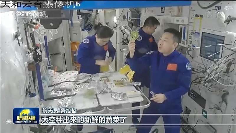  太空菜园樱桃番茄喜获丰收，中国航天员十年耕耘结硕果；气雾培养技术攻克微重力难题，绿色梦想照亮深空之路。 新闻 太空菜园樱桃番茄喜获丰收，中国航天员十年耕耘结硕果；气雾培养技术攻克微重力难题，绿色梦想照亮深空之路。 新闻 太空菜园樱桃番茄喜获丰收，中国航天员十年耕耘结硕果；气雾培养技术攻克微重力难题，绿色梦想照亮深空之路。 新闻 太空菜园樱桃番茄喜获丰收，中国航天员十年耕耘结硕果；气雾培养技术攻克微重力难题，绿色梦想照亮深空之路。 新闻 太空菜园樱桃番茄喜获丰收，中国航天员十年耕耘结硕果；气雾培养技术攻克微重力难题，绿色梦想照亮深空之路。 新闻 太空菜园樱桃番茄喜获丰收，中国航天员十年耕耘结硕果；气雾培养技术攻克微重力难题，绿色梦想照亮深空之路。 新闻