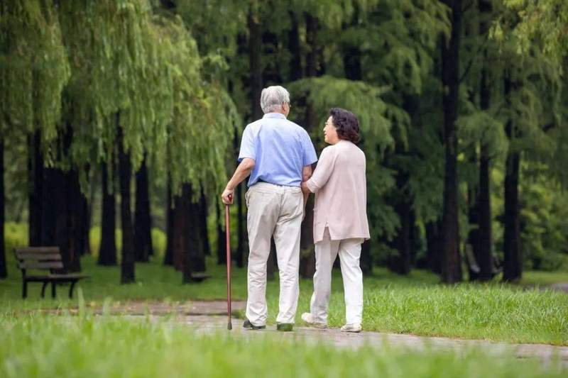 当父母老去、子女远走:那些关于晚年的不安,终于有了温柔的答案 情感心理