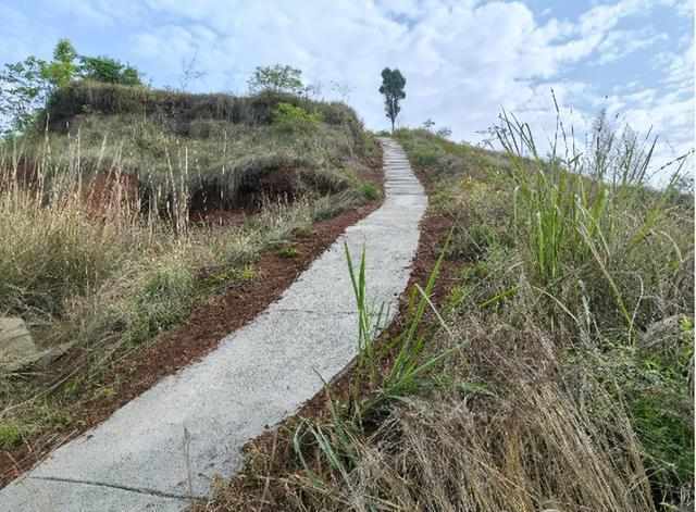 那条泥泞了八年的山路,如今有了新名字 文化旅游 那条泥泞了八年的山路,如今有了新名字 文化旅游 那条泥泞了八年的山路,如今有了新名字 文化旅游