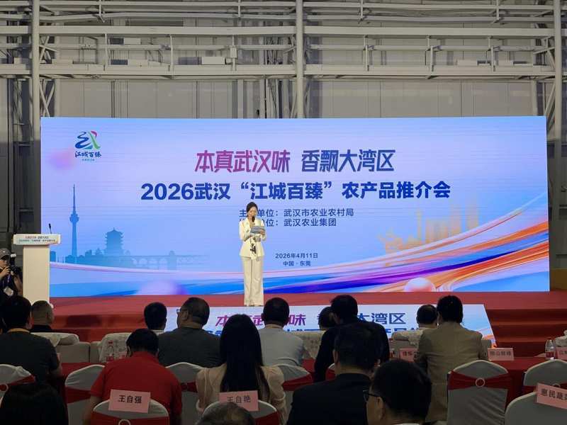 从区域特产到湾区名片:江城百臻品牌战略深度复盘 企业服务