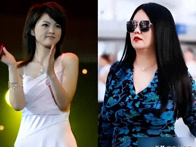 技术拆解·李湘减重方法论:专业团队+极限执行=半年甩肉五十斤的底层逻辑 健康养生