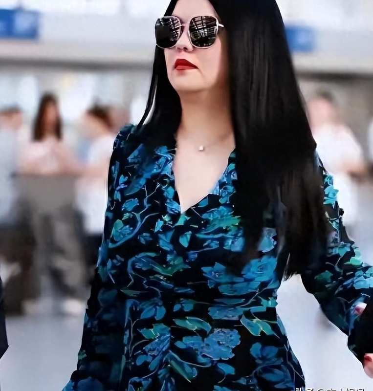 技术拆解·李湘减重方法论:专业团队+极限执行=半年甩肉五十斤的底层逻辑 健康养生