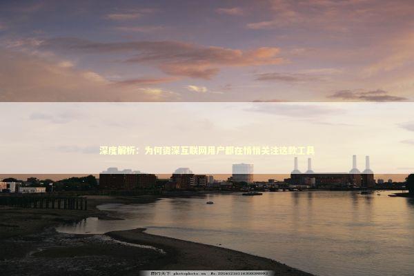深度解析：为何资深互联网用户都在悄悄关注这款工具