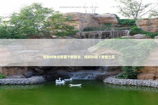 送别时她说想要个新背包，我却纠结了整整三天