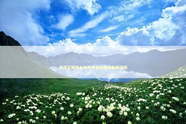 寻找正规安全软件平台的那段曲折经历 寻找正规安全软件平台的那段曲折经历 IT技术