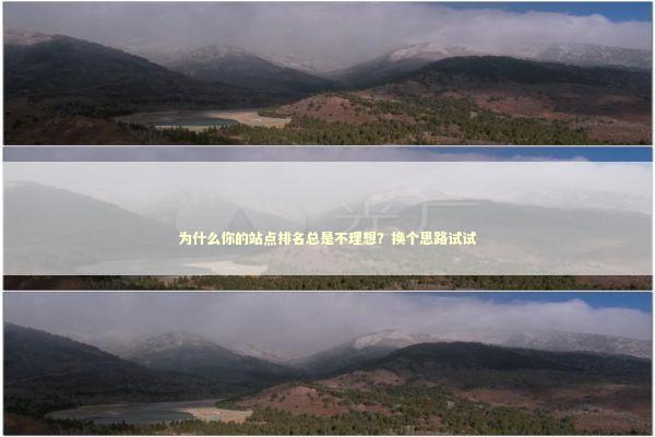 为什么你的站点排名总是不理想？换个思路试试