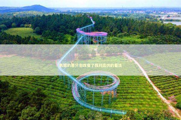 表姐的那只包改变了我对高仿的看法 时尚用品