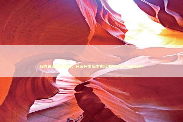程序员酒后吐真言：开源分类系统背后那些不为人知的秘密